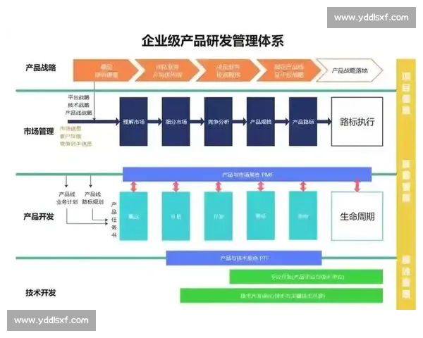 全面解析体育赛事流程及各环节运作与组织管理策略